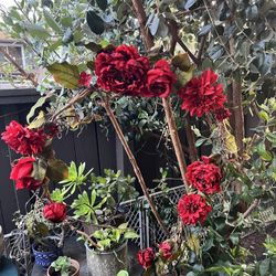 Garland ( Red Rose )