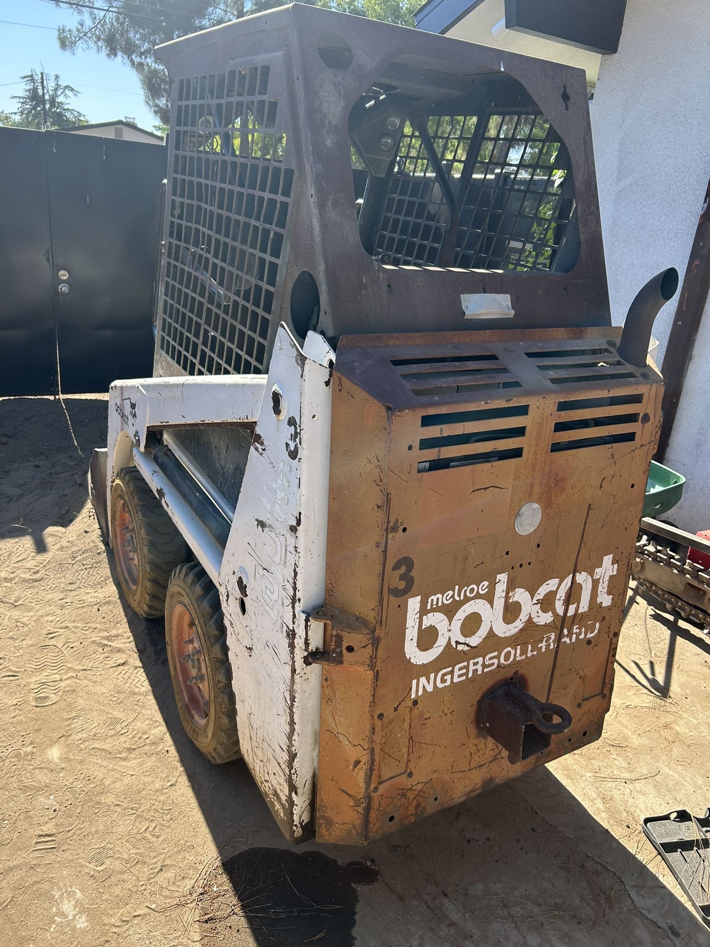 Bobcat