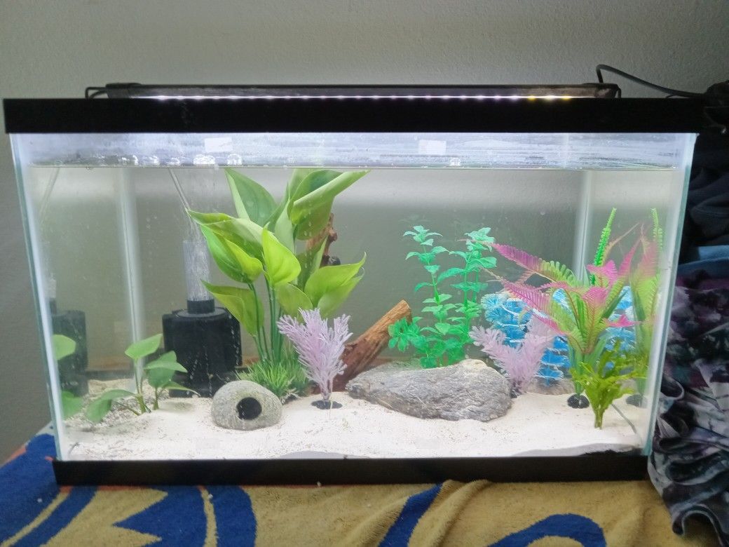 10 Gallon Fish Tank For Sale In Phoenix AZ OfferUp 10-gallon-fish-tank-for-sale-in-phoenix-az-offerup