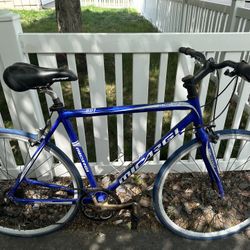 micargi bicycle
