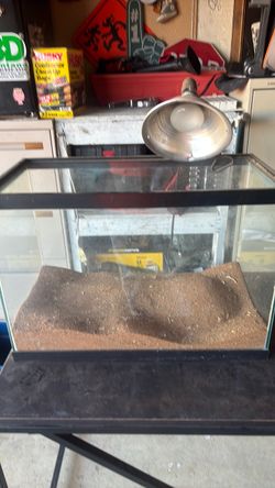 Glass Reptile Tank with Heat Lamp