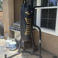 Everlast Boxing Bag