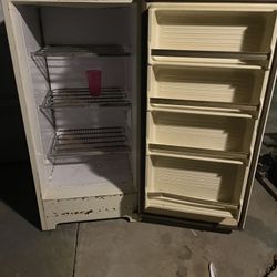 Montgomery Ward Deep Freezer