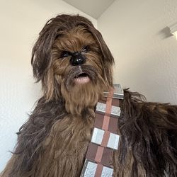7-Foot Animated Chewbacca with Motion Sensor
