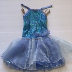 Blue Pant/dress Costume