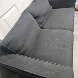 Small Couch/loveseat