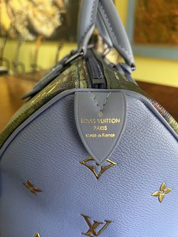 Louis Vuitton Limited Edition Masters Speedy 30 Jeff Koons
