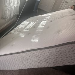 Full Size Bed Frame + Mattress (Good Condition)