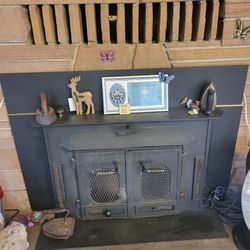 Buck Fireplace Insert 