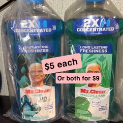 Mr Clean Multipurpose 41oz