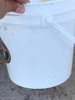 White Buckets Available