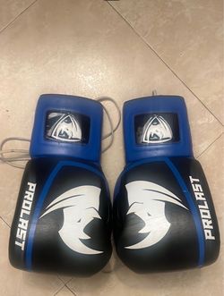 Pro Last Boxing Gloves