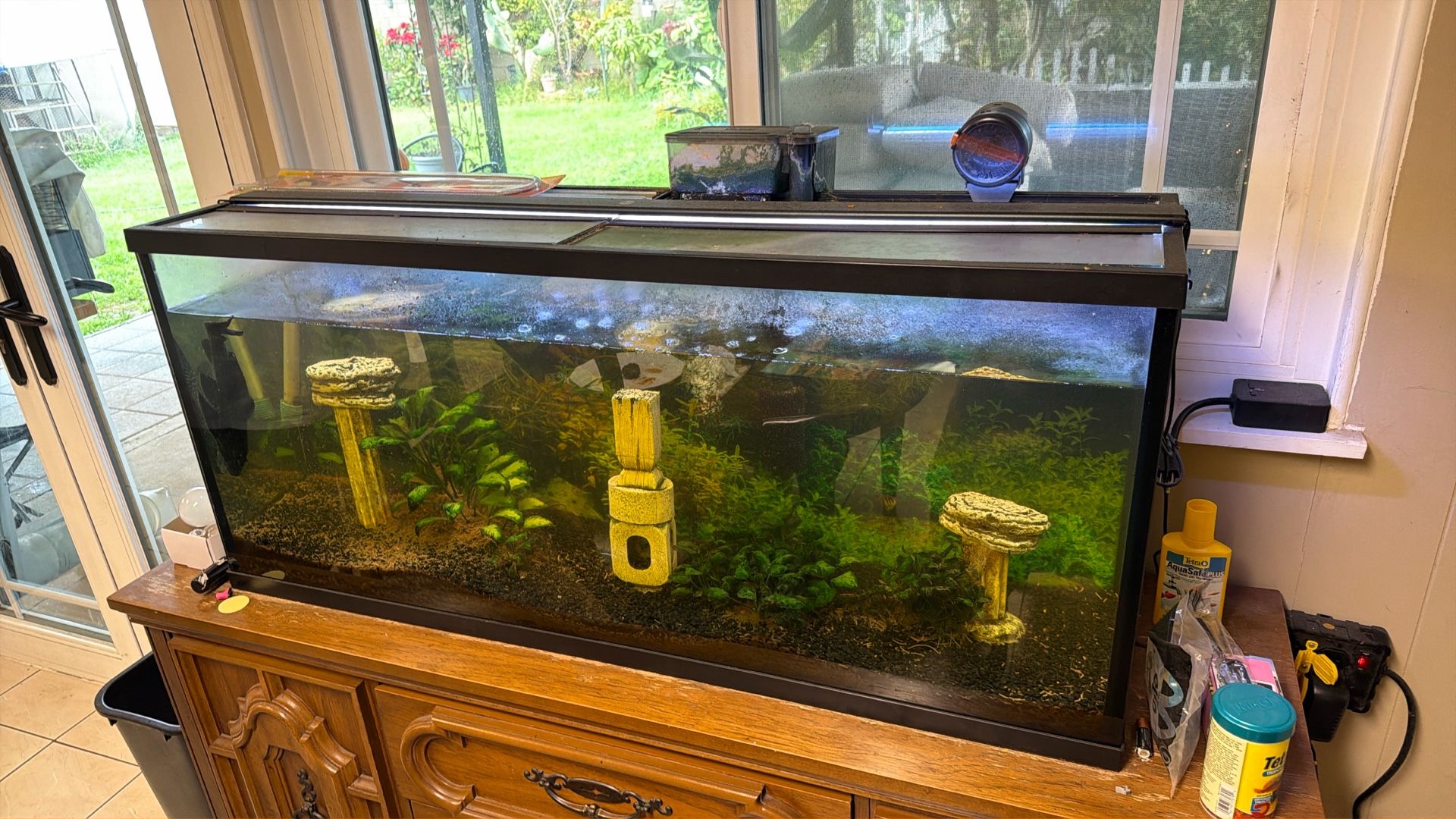 55 Gallon Aquarium