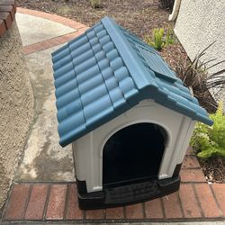 New Doggy House