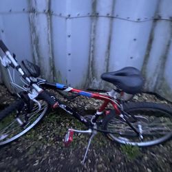 Giant Bike Eddie Bauer Edition 