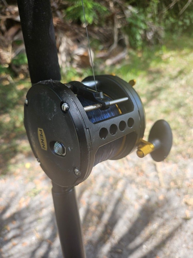 Penn Fathom 40 Level Wind