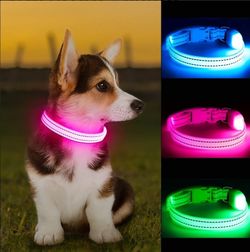 Collar Led Para Perro