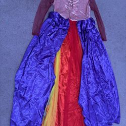 New xl long Rennisance princess dress costume hocus pocus witch Victorian