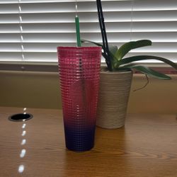 Starbucks Tumbler Cup Pink