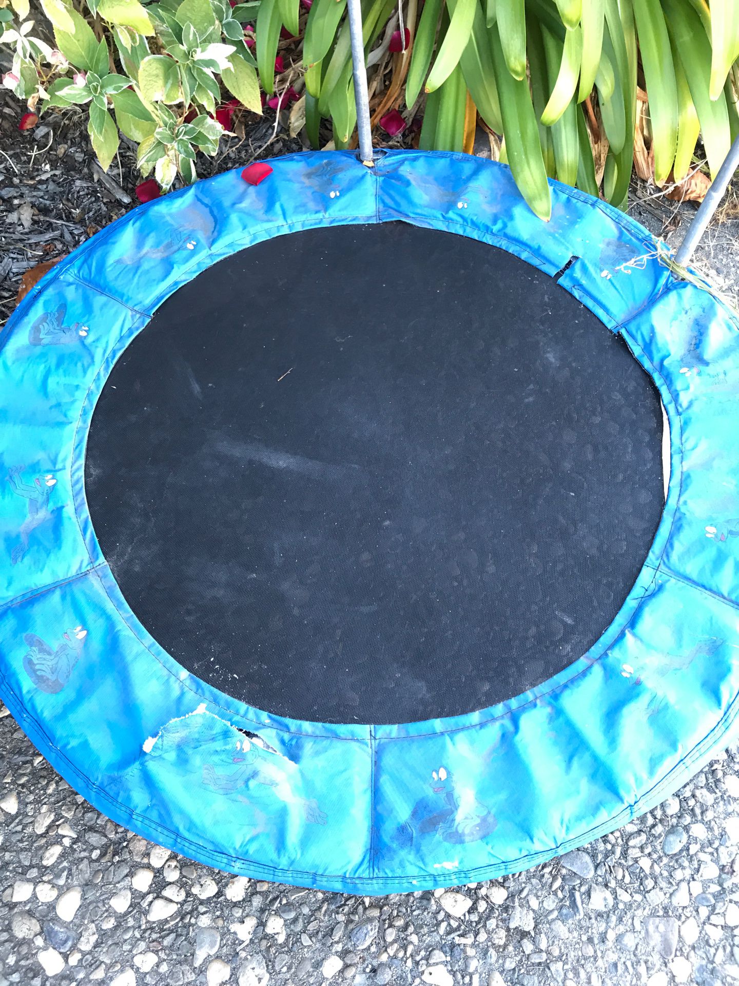 Trampoline for free