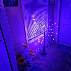 Indoor Outdoor Tree