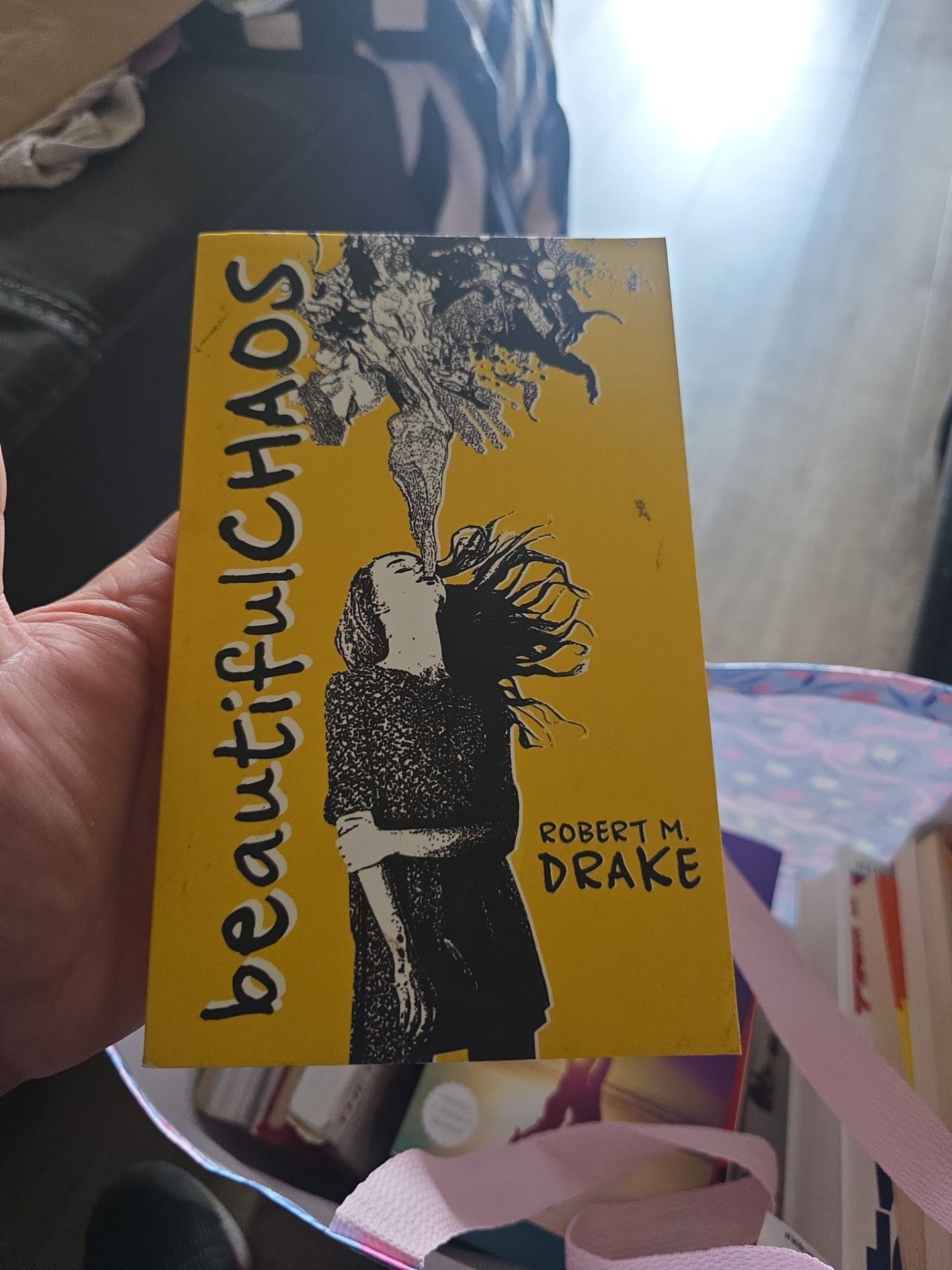 Beautiful chaos book