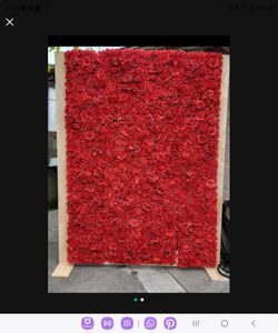 Red flower wall with frame