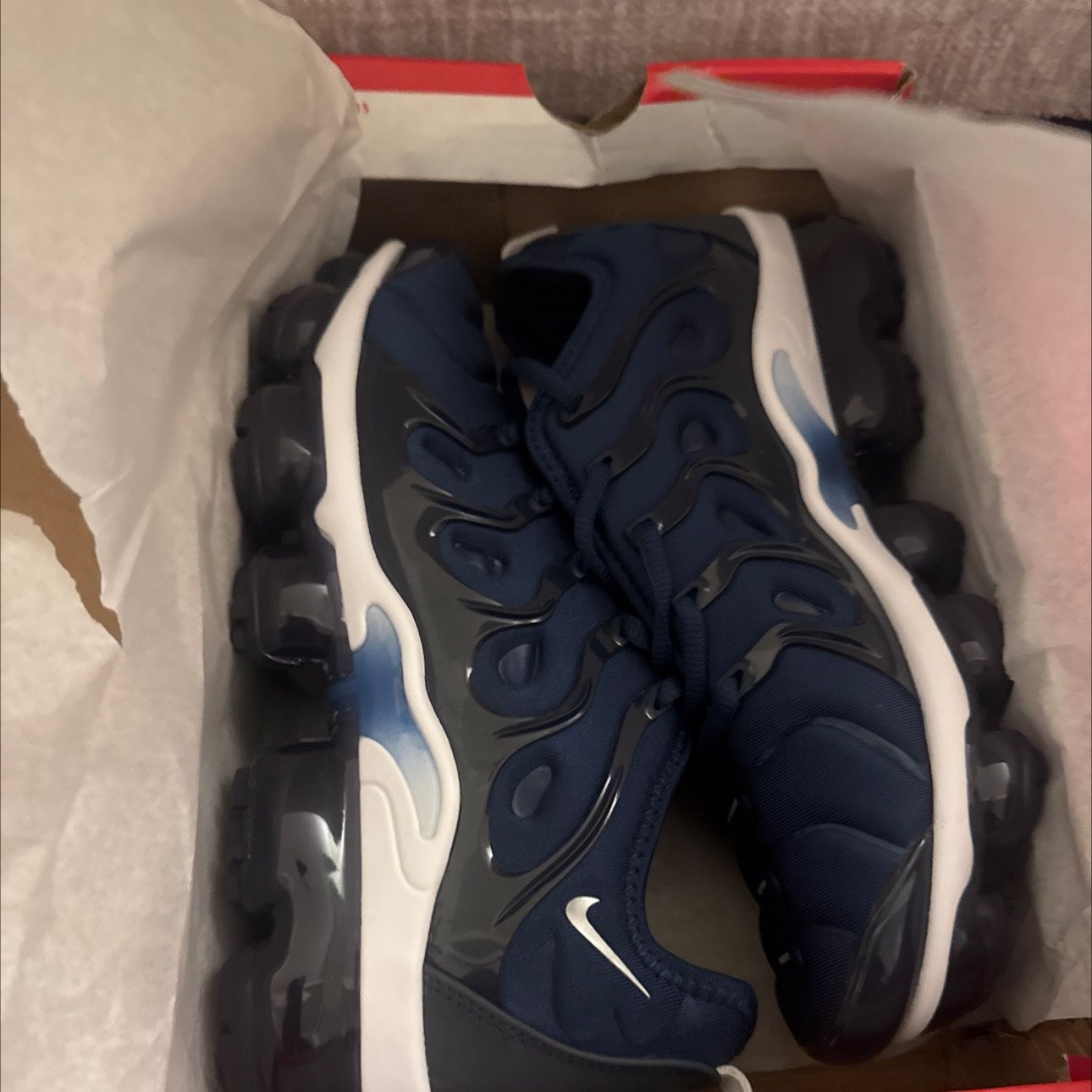 Nike vapor max plus