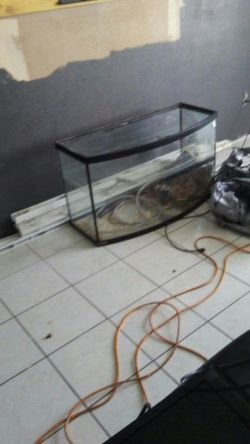 Two 30 gallon aquariums
