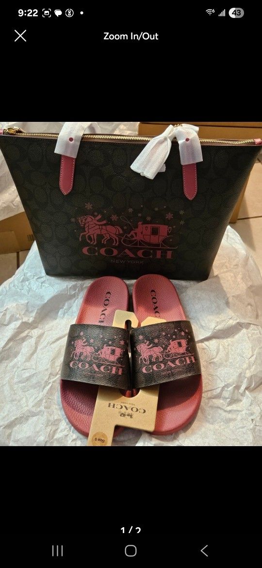 Coach Bag + slides