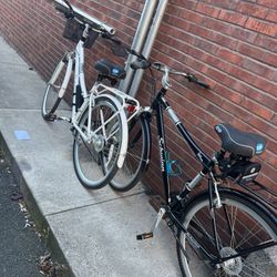 Schwinn Bikes 