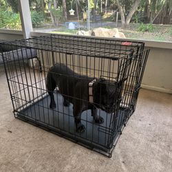 Dog Crate Medium 