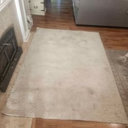 5 X 7 Area Rug