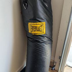 Everlast 100 Lbs Punching Bag