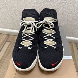 Nike Lebron