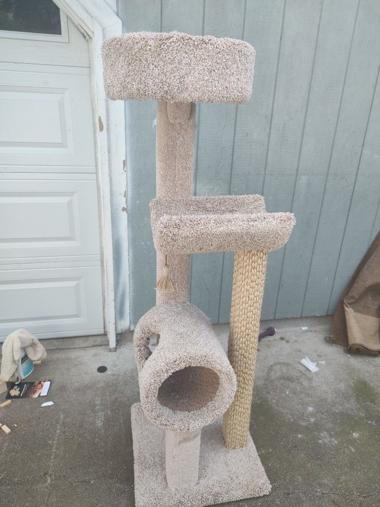 Cat Climber