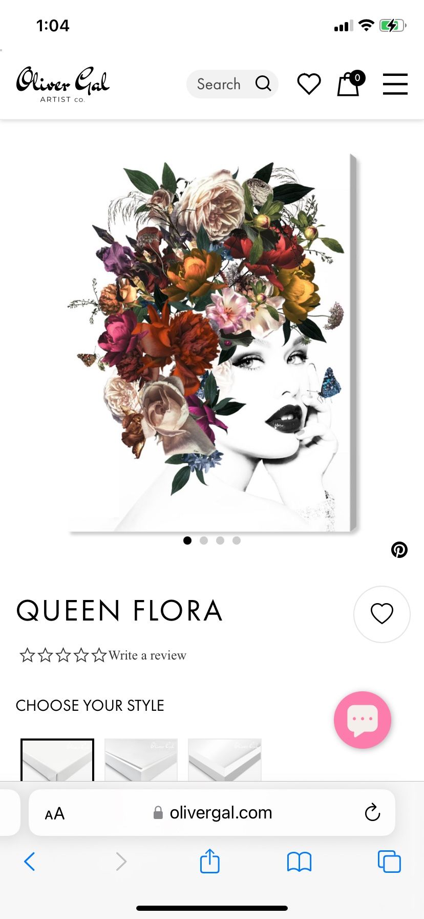 Oliver Gal Canvas Wall Art Home Decor