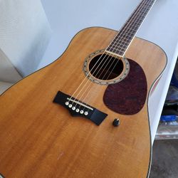 Peavey Dw2 Electro-Acoustic Guitar