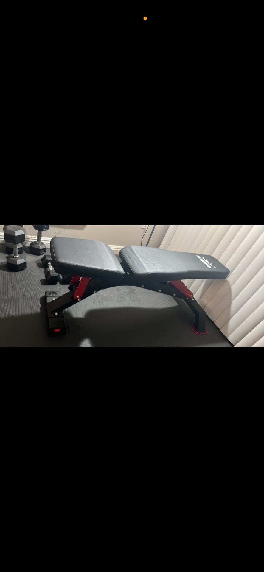 Workout Bench