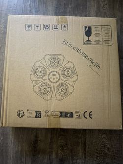 Pretty Cool Bluetooth Boxing Kit