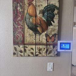 Rooster Picture