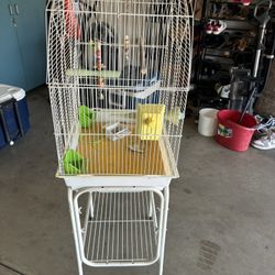 Bird Cage