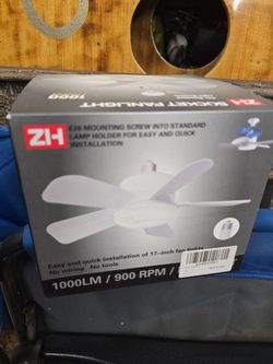 Socket fan and light