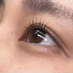 Free Lash Lift
