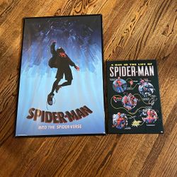 2 Spider Man Posters