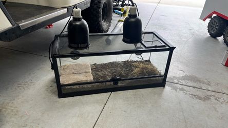 20 gallon terrarium perfect set up for baby leopard gecko