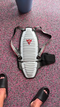 Dainese Wave series back/spine protector w full harness $150 OBO