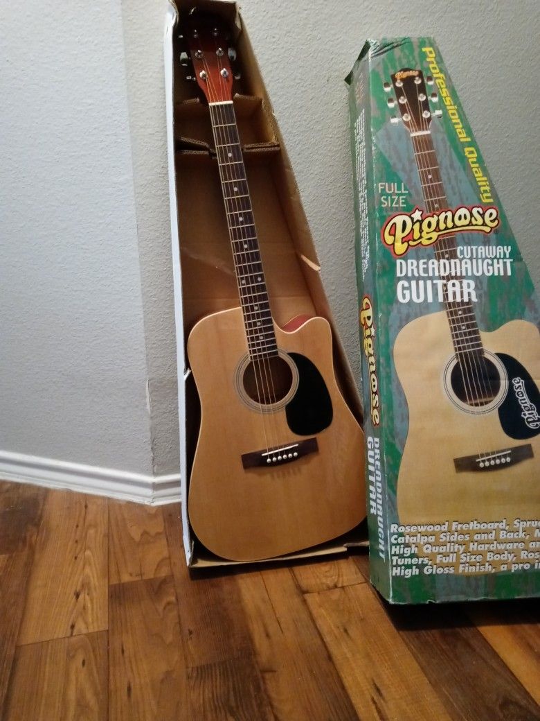 Pignose acoustic guitar online