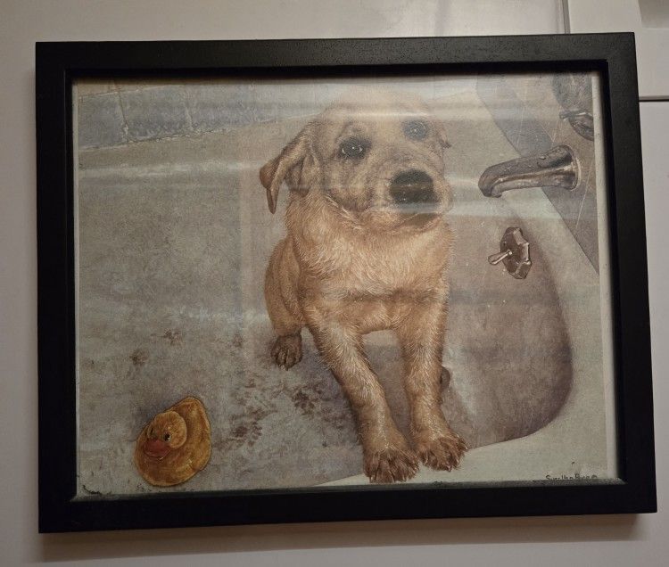 Dog In The Tub Framed Picture