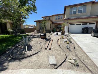Garden / Lawn